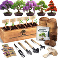 DIY Bonsai Tree Kit for Beginners – Complete Indoor Bonsai Starter Kit